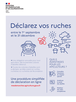 ruches2020 1